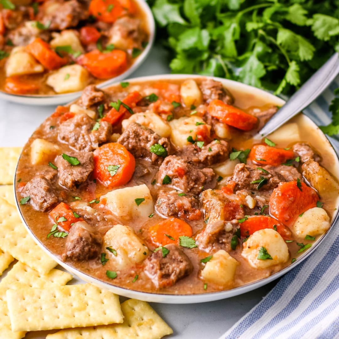 Venison recipes slow cooker discount