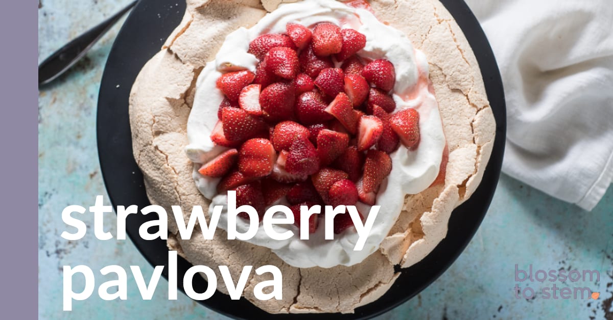 VERAWANG／Pavlova／US4 Vera Wang Pavlova – Nearly Newlywed