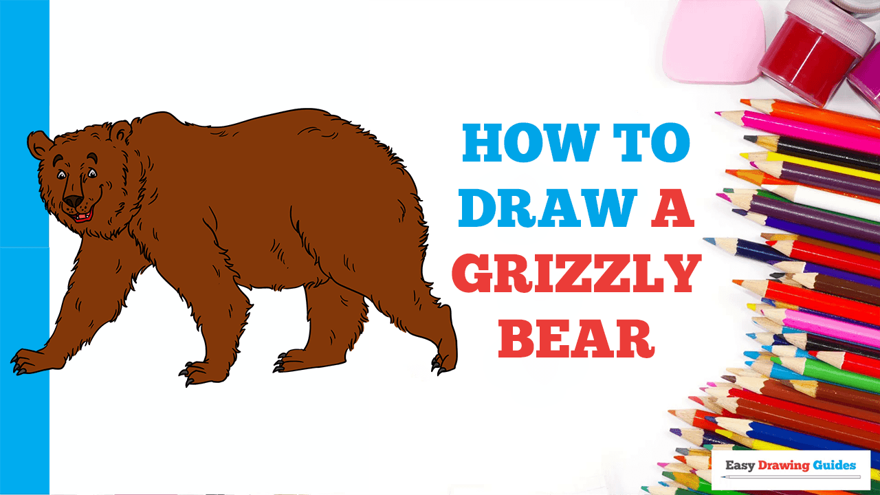 How To Draw A Grizzly Bear For Kids Grizzly Bear Coloring Page Art